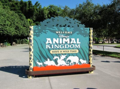 Animalkingdom