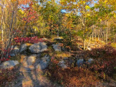 Monadnock color