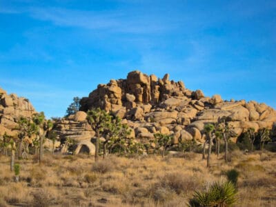 Joshua Tree National Park
